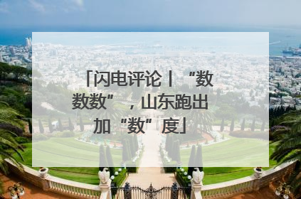 闪电评论丨“数数数”，山东跑出加“数”度