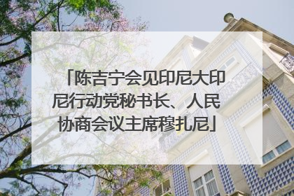 陈吉宁会见印尼大印尼行动党秘书长、人民协商会议主席穆扎尼