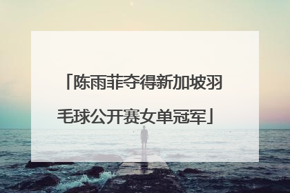 陈雨菲夺得新加坡羽毛球公开赛女单冠军