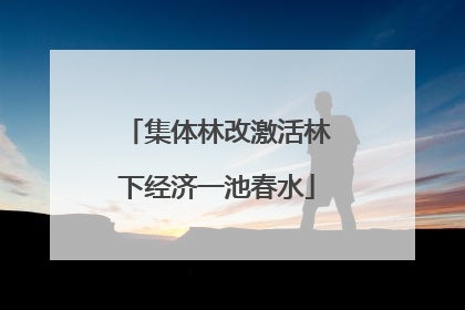 集体林改激活林下经济一池春水