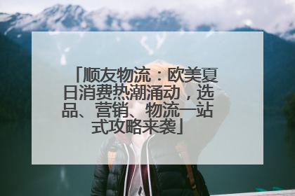 顺友物流：欧美夏日消费热潮涌动，选品、营销、物流一站式攻略来袭