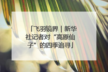 飞羽镜界｜新华社记者对“高原仙子”的四季追寻