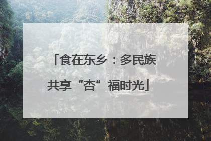 食在东乡：多民族共享“杏”福时光