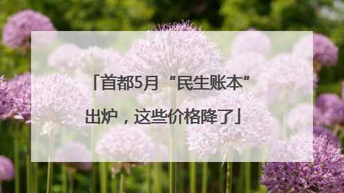 首都5月“民生账本”出炉，这些价格降了