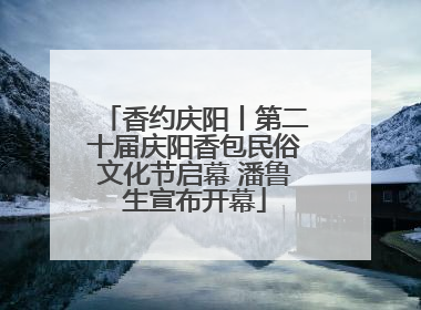 香约庆阳丨第二十届庆阳香包民俗文化节启幕 潘鲁生宣布开幕