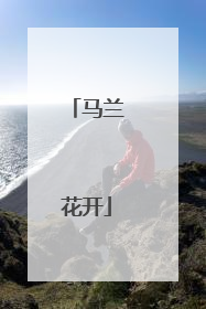 马兰花开