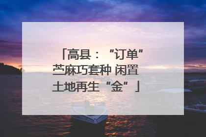 高县：“订单”苎麻巧套种 闲置土地再生“金”