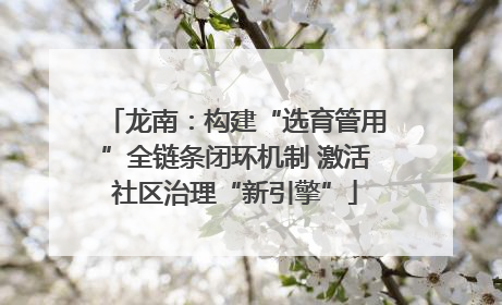 龙南：构建“选育管用”全链条闭环机制 激活社区治理“新引擎”