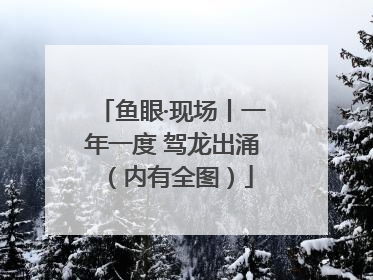 鱼眼·现场丨一年一度 驾龙出涌（内有全图）