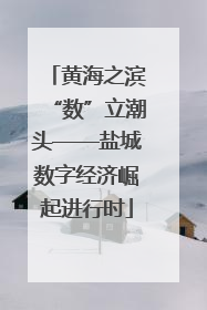 黄海之滨“数”立潮头——盐城数字经济崛起进行时