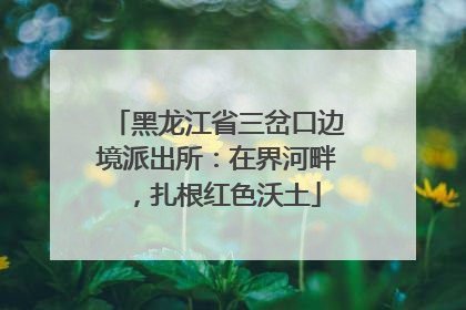 黑龙江省三岔口边境派出所：在界河畔，扎根红色沃土