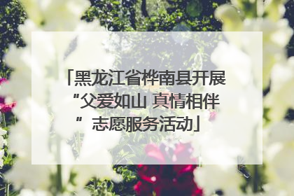 黑龙江省桦南县开展“父爱如山 真情相伴”志愿服务活动