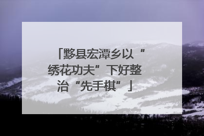黟县宏潭乡以“绣花功夫”下好整治“先手棋”