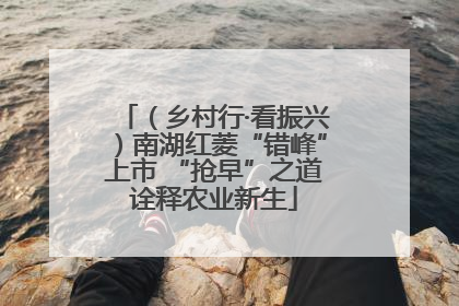 （乡村行·看振兴）南湖红菱“错峰”上市 “抢早”之道诠释农业新生