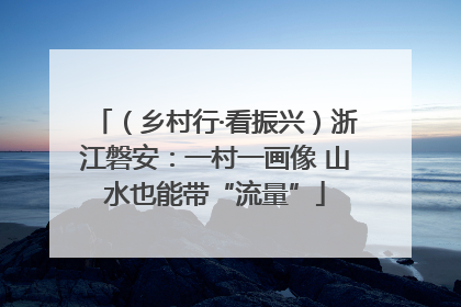 （乡村行·看振兴）浙江磐安：一村一画像 山水也能带“流量”