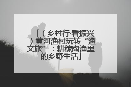 （乡村行·看振兴）黄河渔村玩转“渔文旅”：耕稼陶渔里的乡野生活