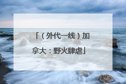 （外代一线）加拿大：野火肆虐