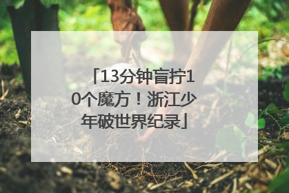 13分钟盲拧10个魔方！浙江少年破世界纪录