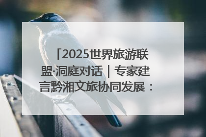2025世界旅游联盟·洞庭对话｜专家建言黔湘文旅协同发展：聚焦产品稀缺性 深化区域经验共享