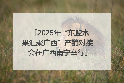 2025年“东盟水果汇聚广西”产销对接会在广西南宁举行