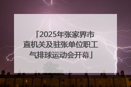 2025年张家界市直机关及驻张单位职工气排球运动会开幕
