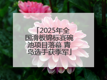 2025年全国滑板锦标赛碗池项目落幕 青岛选手获季军