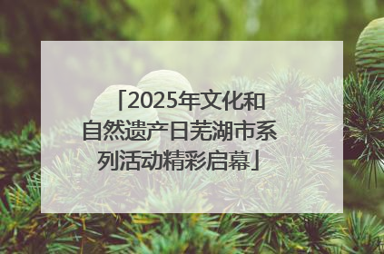 2025年文化和自然遗产日芜湖市系列活动精彩启幕