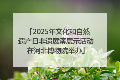 2025年文化和自然遗产日非遗展演展示活动在河北博物院举办