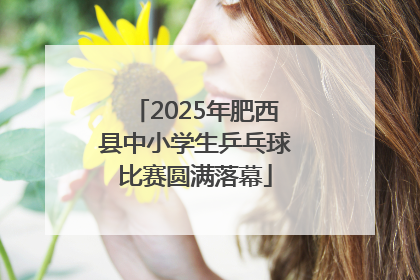 2025年肥西县中小学生乒乓球比赛圆满落幕