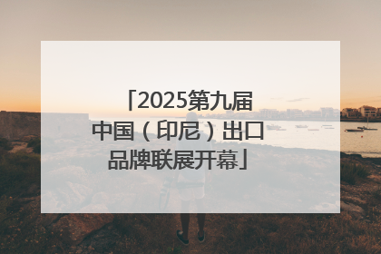 2025第九届中国（印尼）出口品牌联展开幕