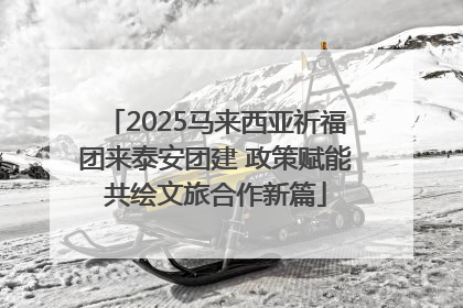 2025马来西亚祈福团来泰安团建 政策赋能共绘文旅合作新篇