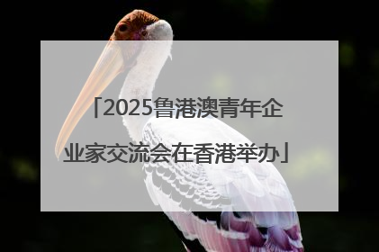2025鲁港澳青年企业家交流会在香港举办
