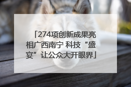 274项创新成果亮相广西南宁 科技“盛宴”让公众大开眼界