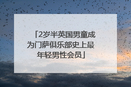2岁半英国男童成为门萨俱乐部史上最年轻男性会员