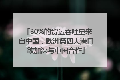 30%的货运吞吐量来自中国，欧洲第四大港口欲加深与中国合作