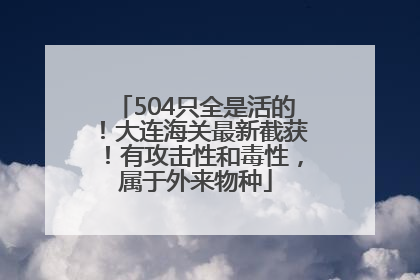 504只全是活的！大连海关最新截获！有攻击性和毒性，属于外来物种