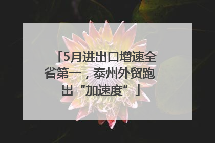 5月进出口增速全省第一，泰州外贸跑出“加速度”