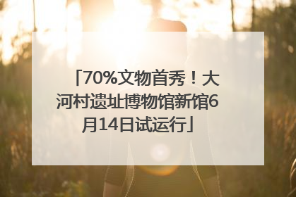 70%文物首秀！大河村遗址博物馆新馆6月14日试运行