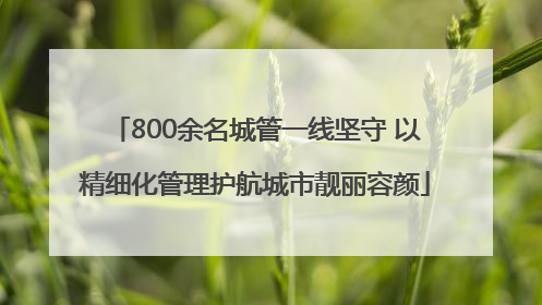 800余名城管一线坚守 以精细化管理护航城市靓丽容颜