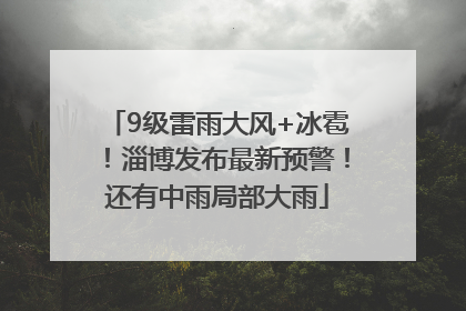 9级雷雨大风+冰雹！淄博发布最新预警！还有中雨局部大雨